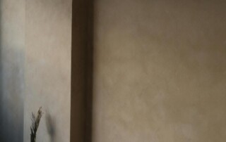 affordable lime plaster wall finish services near me