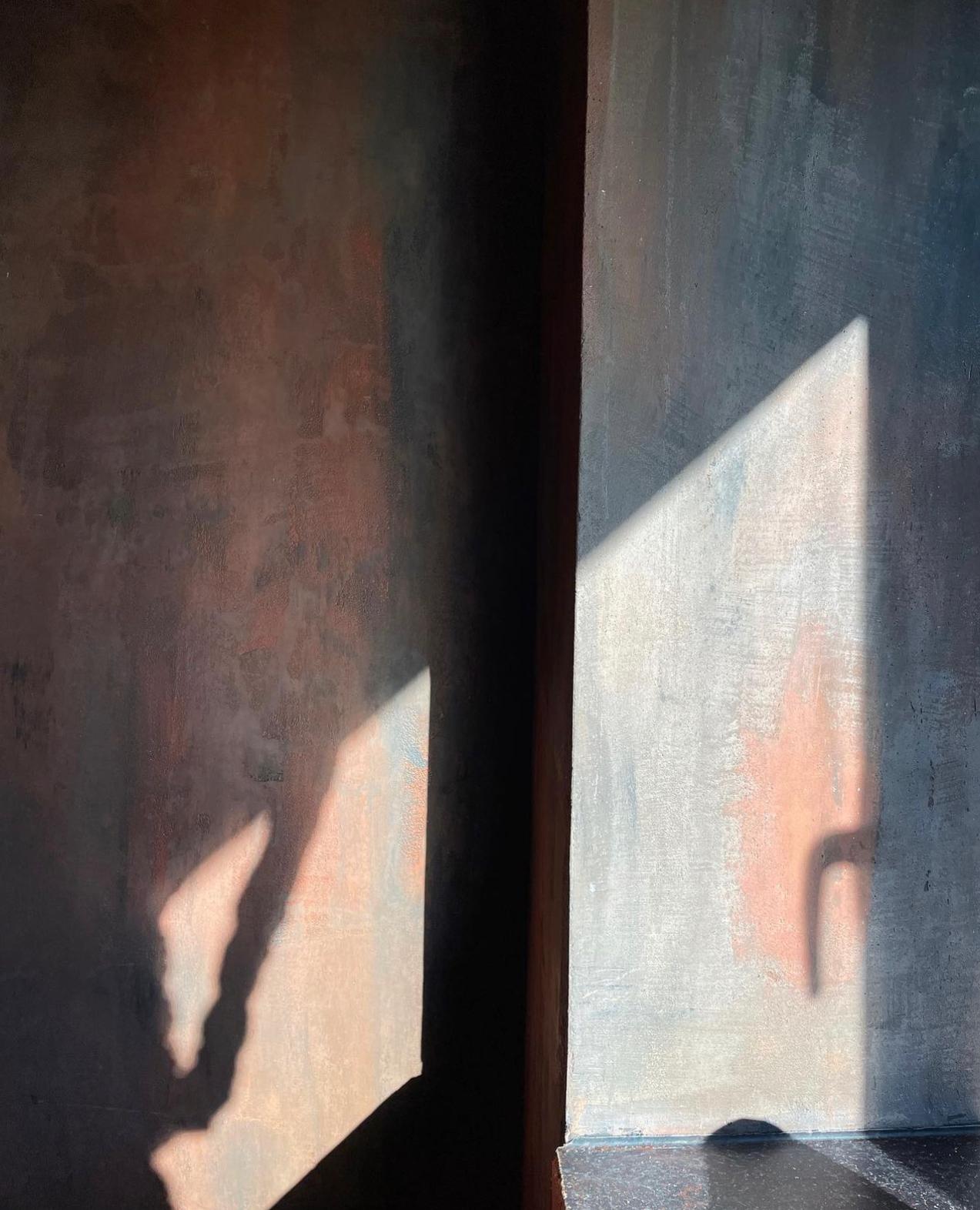 durable venetian plaster materials 2026 Canada